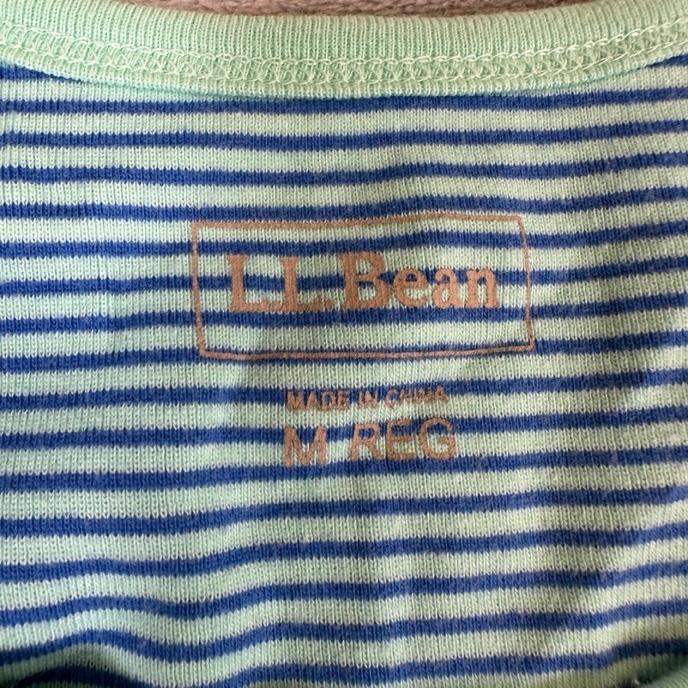 LL Bean Striped Cotton Tank Top Blue Mint Green Sleeveless Scoop Neck M REG - Picture 3 of 9